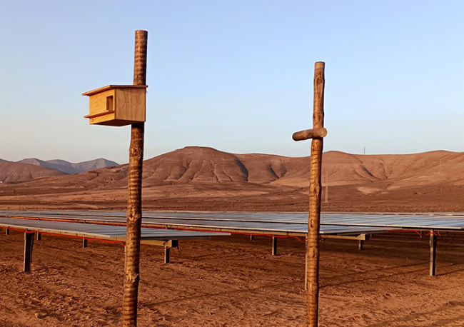 Foto Iberdrola recibe el Sello de Excelencia para la Sostenibilidad 2023 de UNEF por el proyecto Llanos Pelaos III, primero en Canarias.